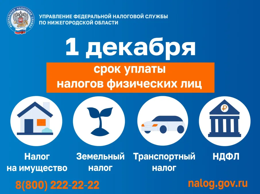 1 декабря срок уплаты налогов физических лиц